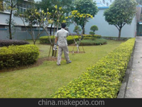 南寧第45屆體操世界錦標賽主賽場(chǎng)、訓練場(chǎng)病媒生物防制工作